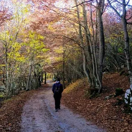 Project House Relax * オヴィンドリ