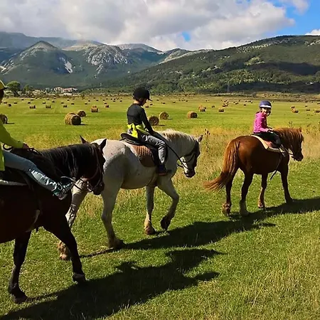 Project House Relax Apartament