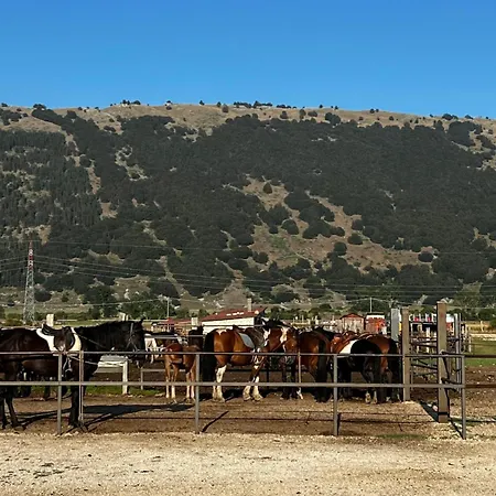 Project House Relax オヴィンドリ