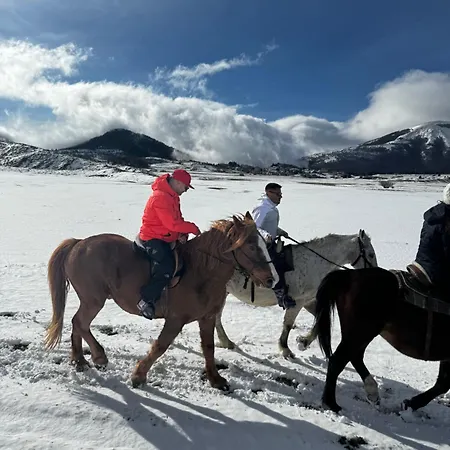 Apartament Project House Relax *