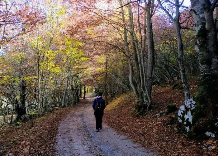 Project House Relax * Ovindoli