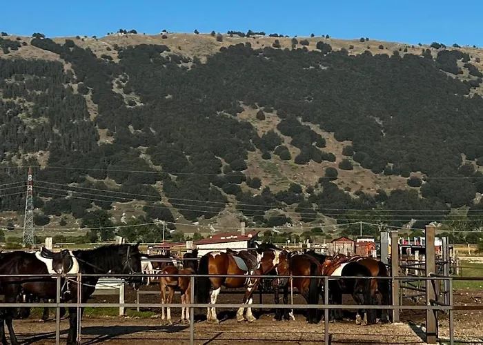 Project House Relax Ovindoli