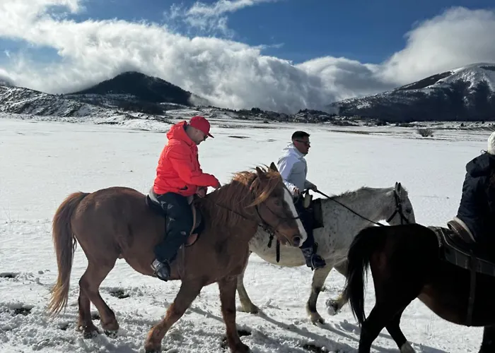 Lejlighed Project House Relax *